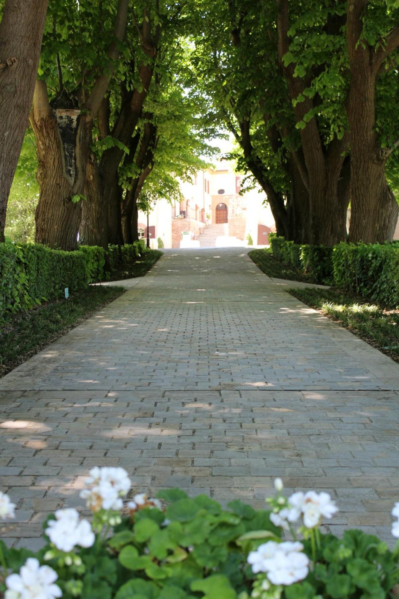 Palazzo Del Poggiano Bed & Breakfast Poggio Berni Eksteriør bilde